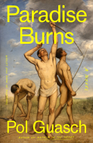 book cover for Paradise Burns