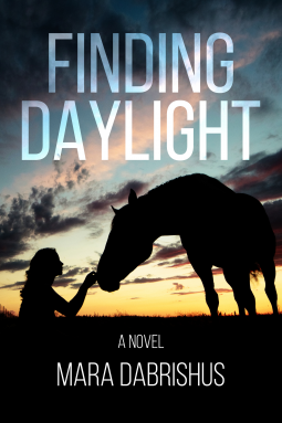 book cover for Finding Daylight