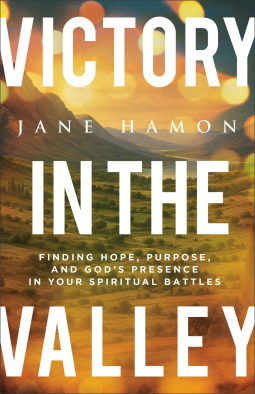book cover for Victory in the Valley