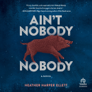 book cover for Ain't Nobody, Nobody