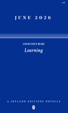 book cover for Learning
