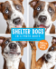 Cover Image: Shelter Dogs in a Photo Booth