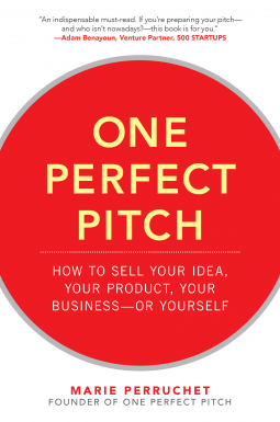 book cover for One Perfect Pitch