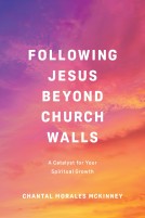 book cover for Following Jesus Beyond Church Walls