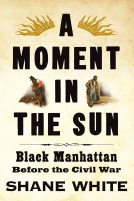 book cover for A Moment in the Sun
