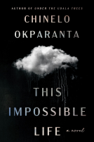 book cover for This Impossible Life