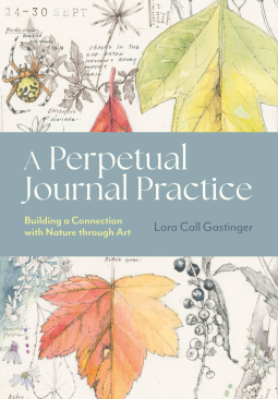 book cover for A Perpetual Journal Practice