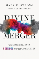 book cover for Divine Merger