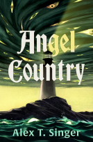 book cover for Angel Country