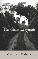 book cover for The Grass Labyrinth
