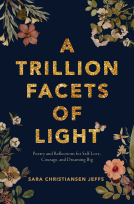 book cover for A Trillion Facets of Light