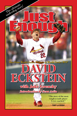 book cover for Just Enough