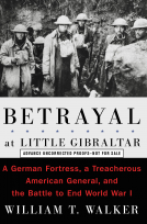 book cover for Betrayal at Little Gibraltar