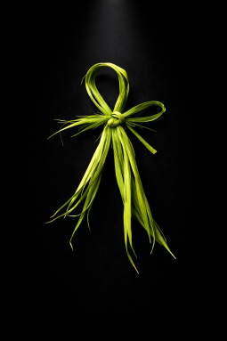 book cover for Spirit Machines