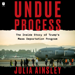 book cover for Undue Process