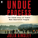 book cover for Undue Process