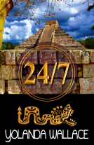 book cover for 24/7