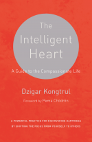 book cover for The Intelligent Heart
