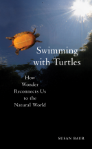 book cover for Swimming with Turtles