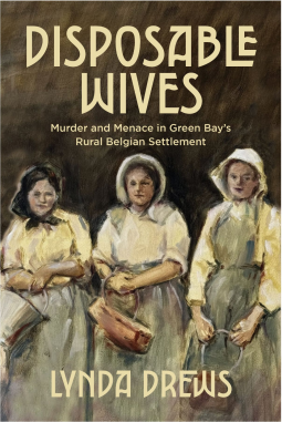 book cover for Disposable Wives