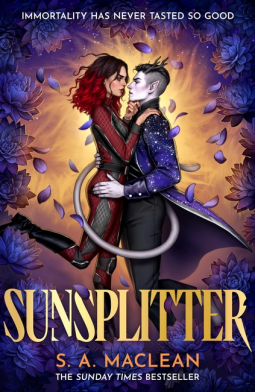 book cover for Sunsplitter