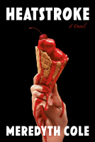 book cover for Heatstroke