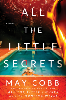 book cover for All the Little Secrets