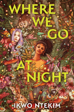 book cover for Where We Go at Night