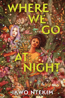 book cover for Where We Go at Night