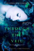 book cover for Through the Veil