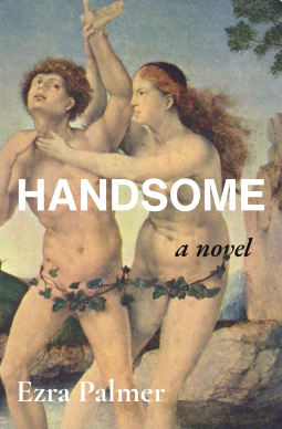 book cover for Handsome