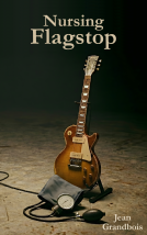 book cover for Nursing Flagstop