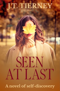 book cover for Seen At Last