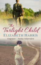 book cover for The Twilight Child