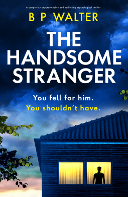 book cover for The Handsome Stranger