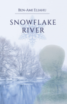 book cover for Snowflake River