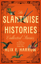 book cover for The Slantwise Histories
