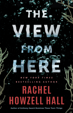 book cover for The View from Here