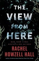 book cover for The View from Here
