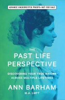 book cover for The Past Life Perspective