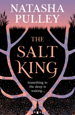 book cover for The Salt King