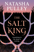 book cover for The Salt King