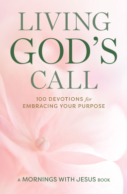 book cover for Rejoice in All Things