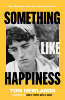 book cover for Something Like Happiness