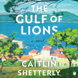 book cover for The Gulf of Lions