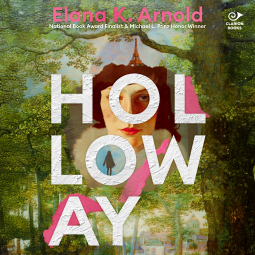 book cover for Holloway
