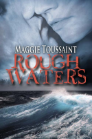book cover for Rough Waters