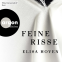 Buchcover für Feine Risse