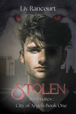 book cover for Stolen