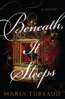 book cover for Beneath, It Sleeps: Deluxe Stenciled Edges